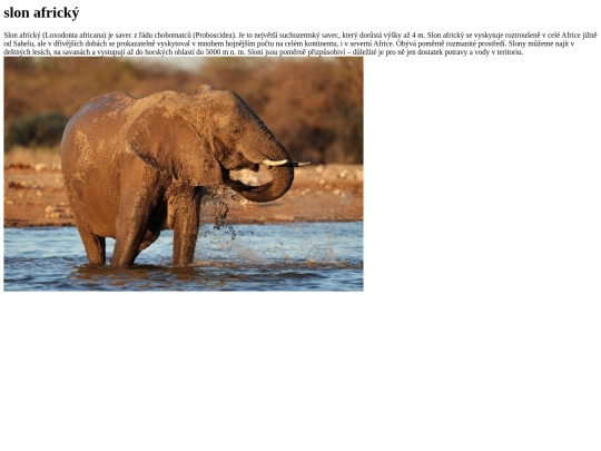 slon africky screenshot