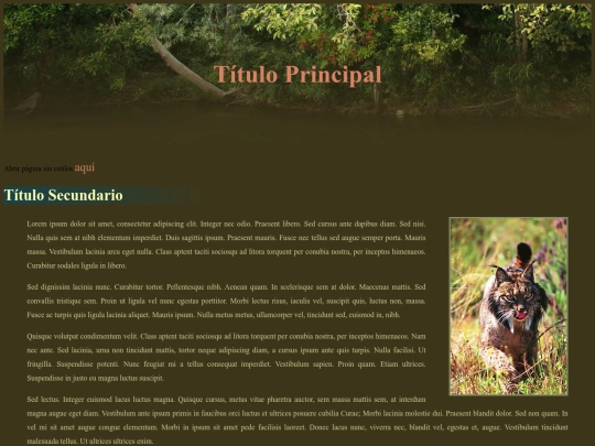 ejercicio5b screenshot