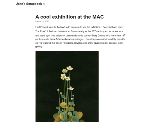 blog/posts/25_02_03_mac_exhibition screenshot