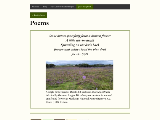poems screenshot