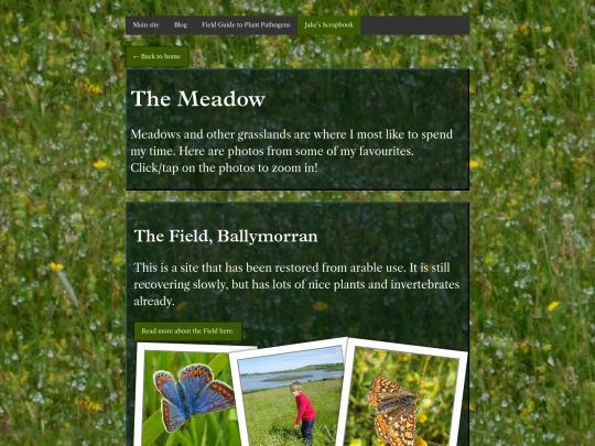 the_meadow screenshot