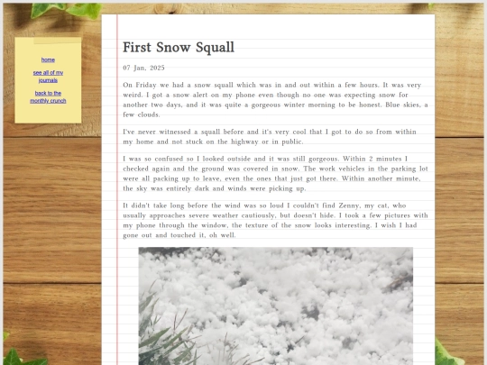 journal/posts/2025-01-07-First-Snow-Squall screenshot
