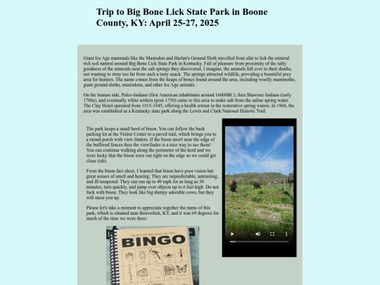 journal/travel/bigbonelick screenshot