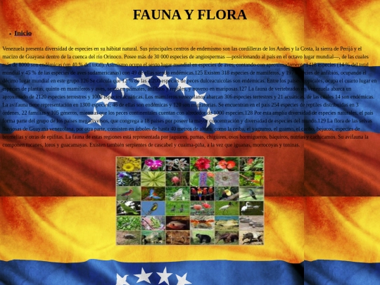 faunayflora screenshot