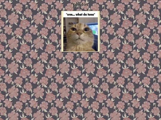 photos screenshot