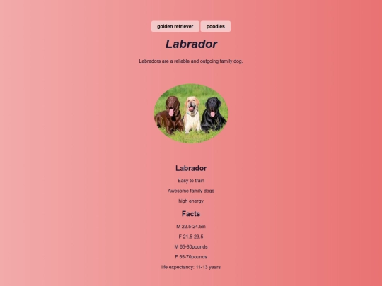 labradors screenshot