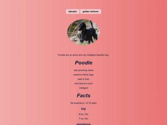 poodle screenshot