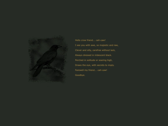 crow screenshot