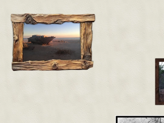 photography screenshot