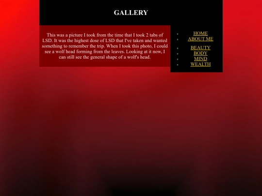 copypaste/test screenshot