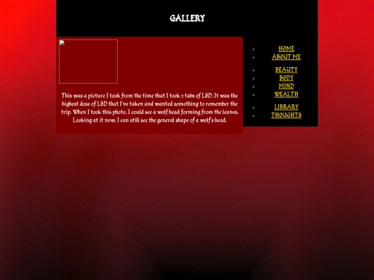 gallery screenshot
