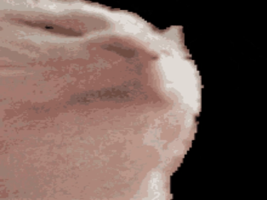 cat screenshot