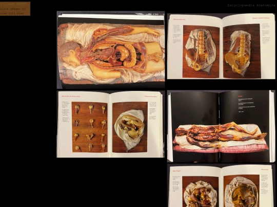 0/frame/books2 screenshot