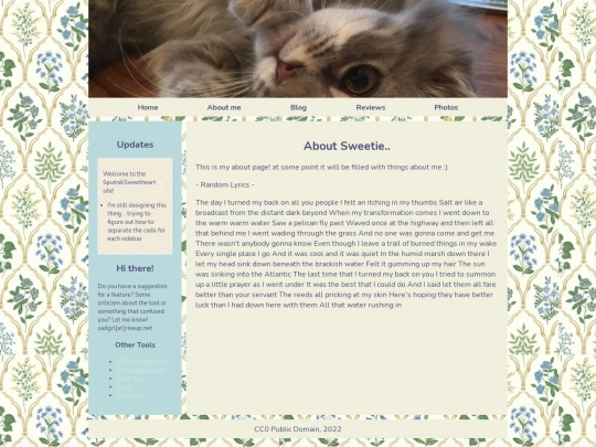 About screenshot