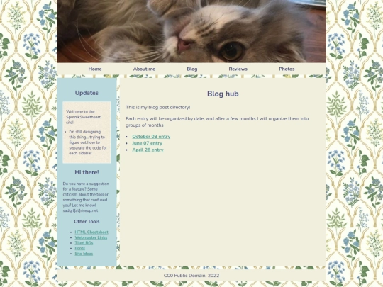 blog screenshot