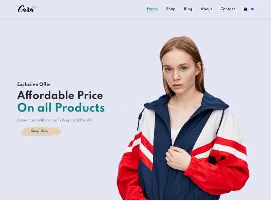 Projec/e-commerce screenshot