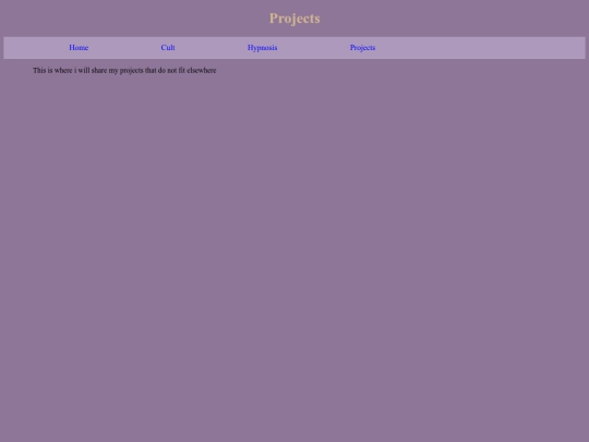 projects screenshot