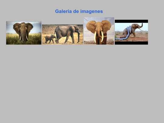 imagenes/pagina_imagenes screenshot