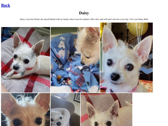 daisy screenshot
