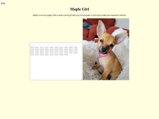 maple screenshot