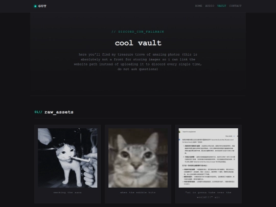 vault screenshot