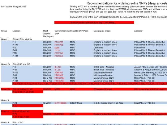 Pitts Group SNPs.fld/tabstrip screenshot