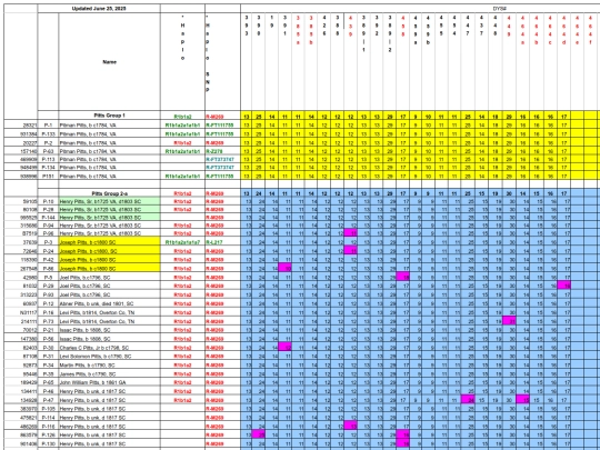 Pitts-Results screenshot