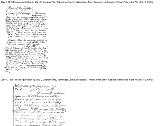 Tishomingo County Mississippi Pension Documents screenshot