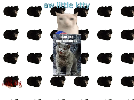 kitty screenshot