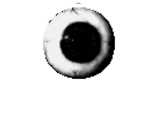 prunsel screenshot