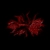 Local index - HTTrack Website Copier avatar