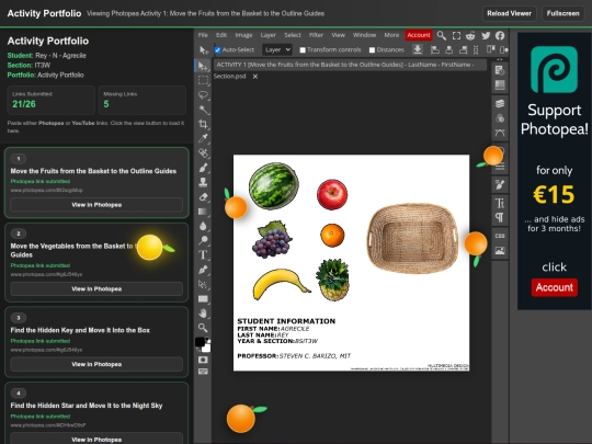 Online Activity Portfolio screenshot