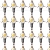 Egg Porn Tube avatar
