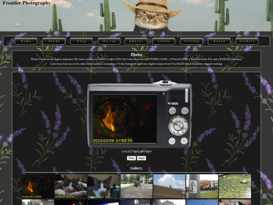 photos screenshot