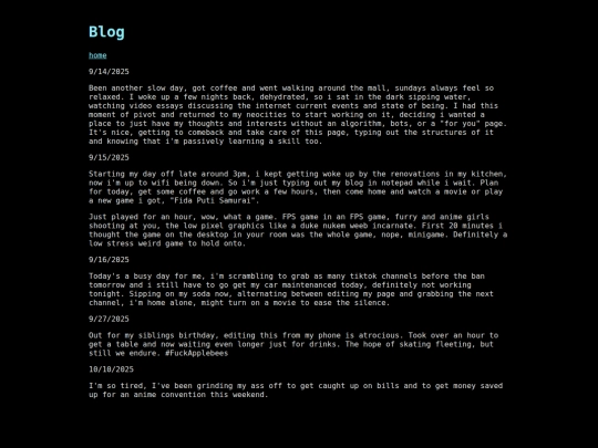 blog screenshot