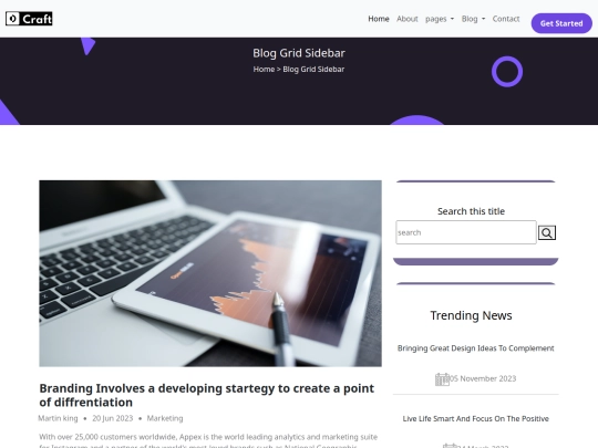project../files/blog-single screenshot