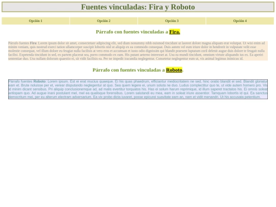 paginas/p2p_opcional_02_m02 screenshot