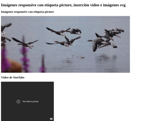 paginas/p2p_opcional_03_m02 screenshot
