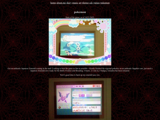 pokemon screenshot