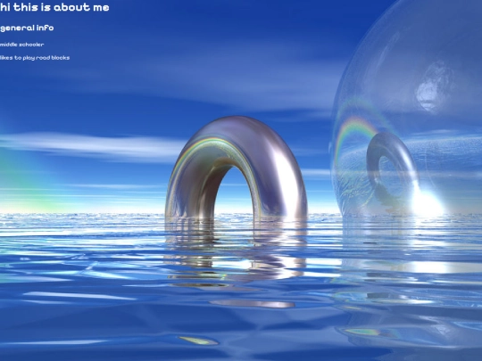 info screenshot
