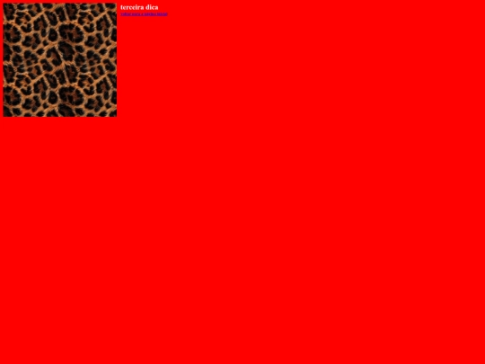 dicas/dica3 screenshot