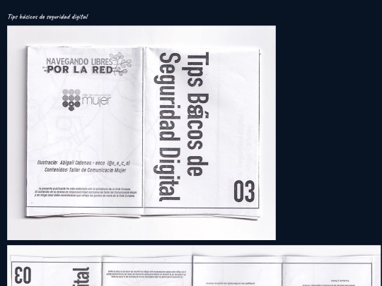 scans/seguridadigital screenshot