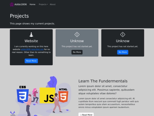 projects-test screenshot