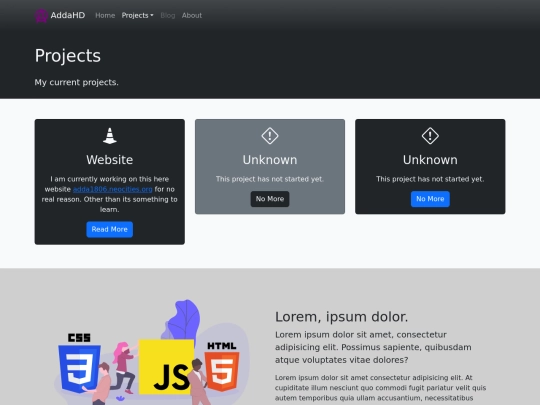 projects screenshot