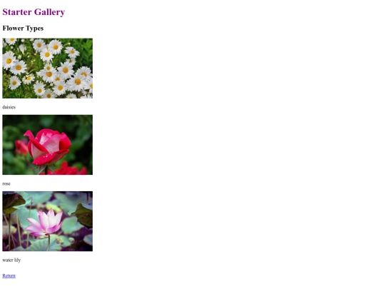 gallery screenshot