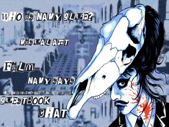 navyshome screenshot