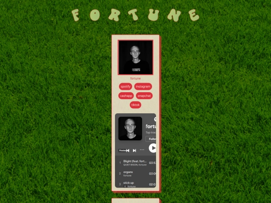 custom1 screenshot