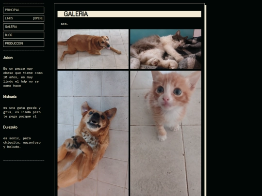img/gallery screenshot
