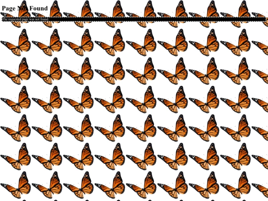 test screenshot