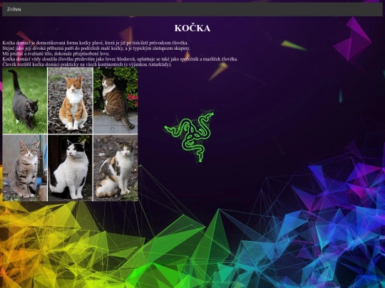 KOČKA screenshot